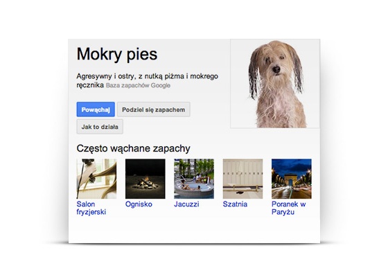 google-nos