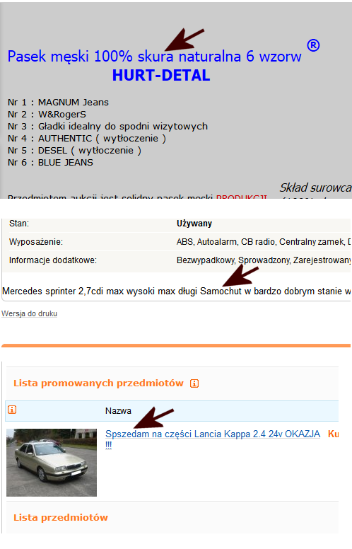 kulejaca-ortografia-na-allergo2012-duze