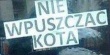 nie-wpuszczac-kota