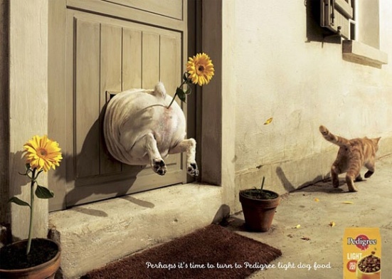 pedigree-duze