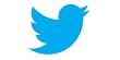 slownik-twitter