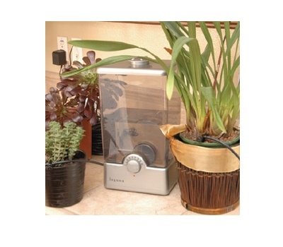 PlantWatering