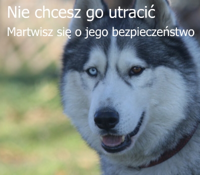 info/aportuj-duze.jpg