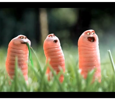 dzdzownice-czarny-punkt-duze