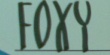 foxy-promocja