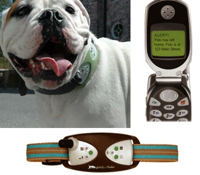 globalpetfinder