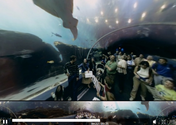 immersivemedia-1