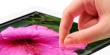ipad3