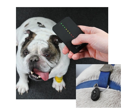 lokalizator-psa-duze