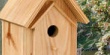 nest-box