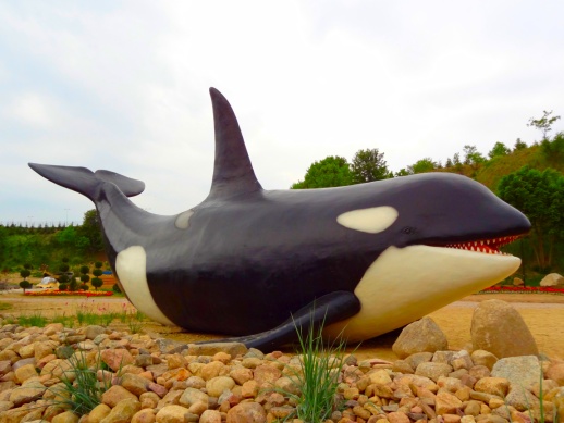 ocean-park-2