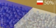 polski-sukces