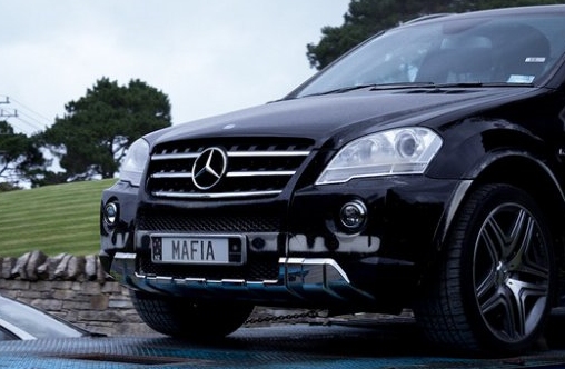 rejestracje-aut-megaupload-duze1