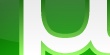 utorrent